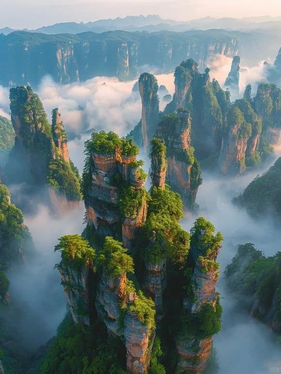 청주공항↔장가계 직항 3박4일